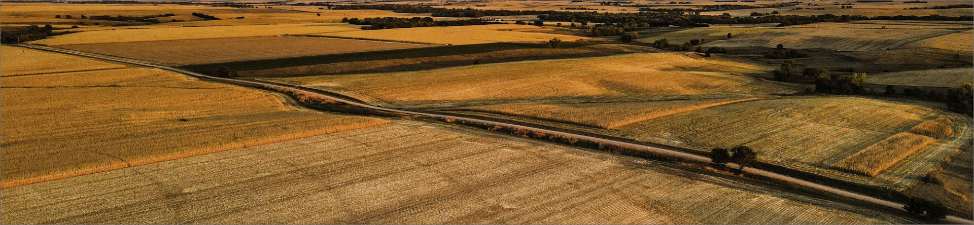 Field in Madison County Nebraska